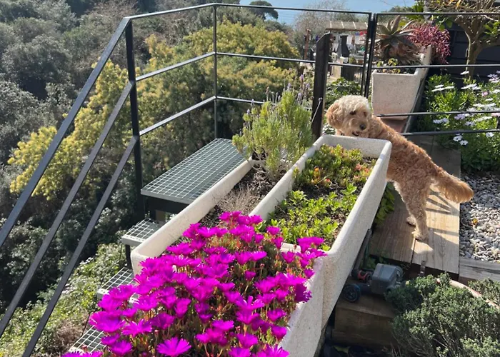 Casa Karian Апартаменты Тосса-де-Мар